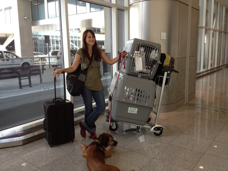 At the Atlanta airport with Janie the dog and Zac and Sacha the cats, about to embark for Warsaw on August 1, 2013.