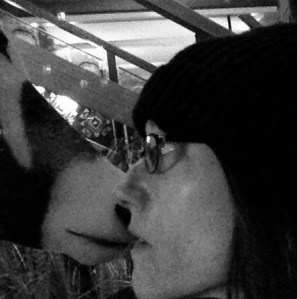 Warning: Please Do Not Feed Animals from Your Mouth.