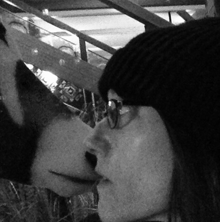 Warning: Please Do Not Feed Animals from Your Mouth.